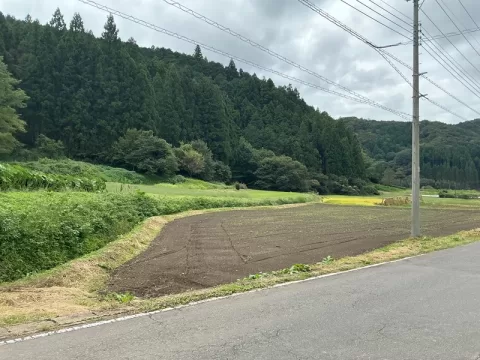 那珂川町矢又【7DK】前面道路より撮影周辺景色（２０２６年９月撮影）※街並みを含む