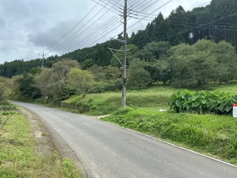 那珂川町矢又【7DK】前面道路（２０２６年９月撮影）※街並みを含む
