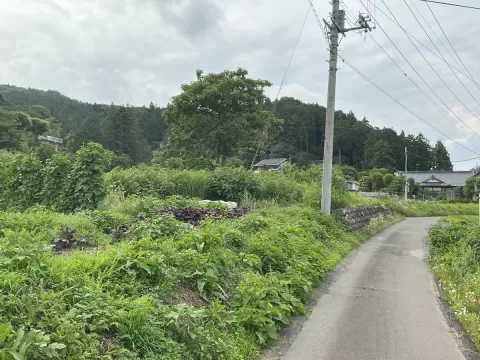 【宇都宮市今里町】南東側より撮影現地土地 　※街並み含む 　現地（2026年6月）撮影